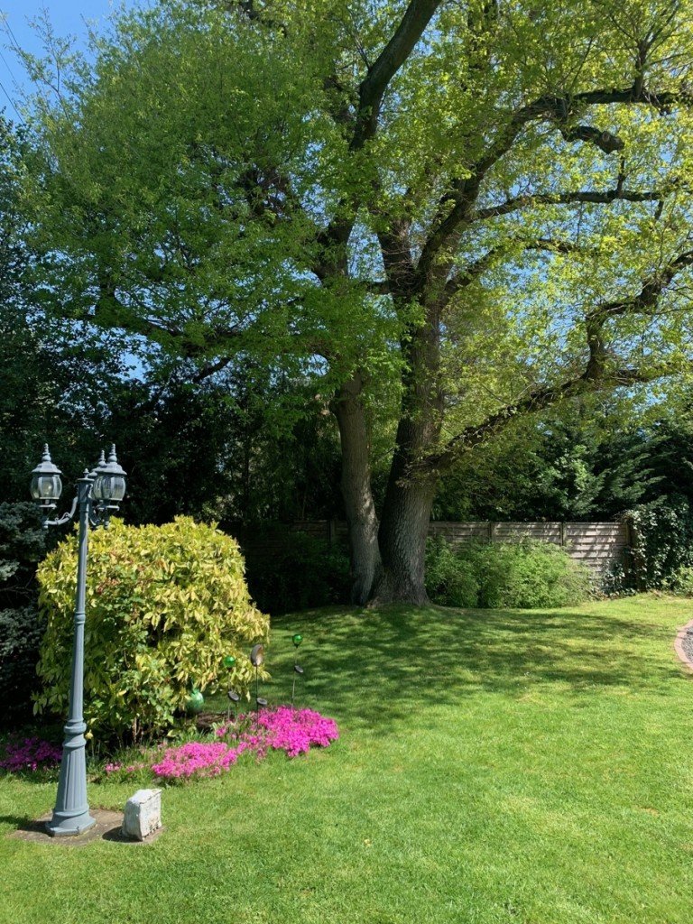 Gartenanlage Sankt Augustin Erdgeschosswohnung SANKT AUGUSTIN NIEDERBERG sch�ne 3 Zimmer-Wohnung, ca. 115 m� Wfl. EBK, Bad-Dusche-WC, Gartenanteil