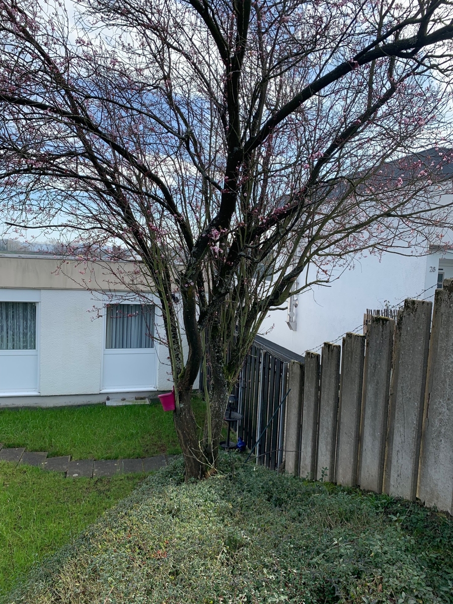 Ansicht Grundst�ck Einfamilienhaus Wachtberg / Lie�em