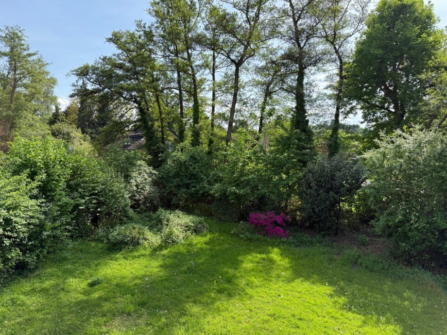 Blick in den Garten Zweifamilienhaus Sankt Augustin