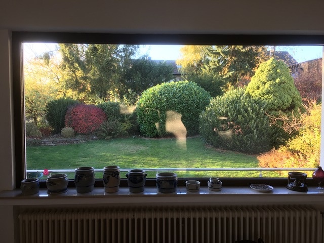 Blick vom Wohnzimmer in den Garten Einfamilienhaus Much / Marienfeld