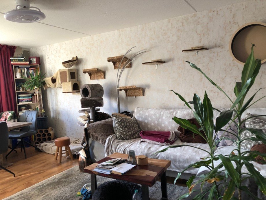 Wohn,- Esszimmer Etagenwohnung Sankt Augustin