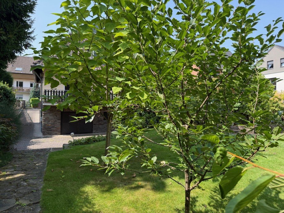 weitere Ansicht vom Grundst�ck Einfamilienhaus Bonn