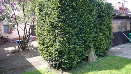 Innenhof / Terrasse Einfamilienhaus Troisdorf / Spich
