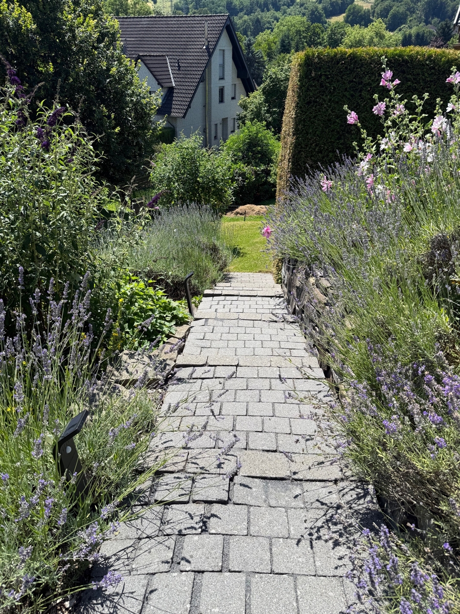 .Weg zum Garten Einfamilienhaus Hennef
