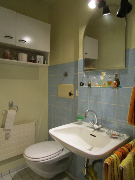 Badezimmer Etagenwohnung Sankt Augustin