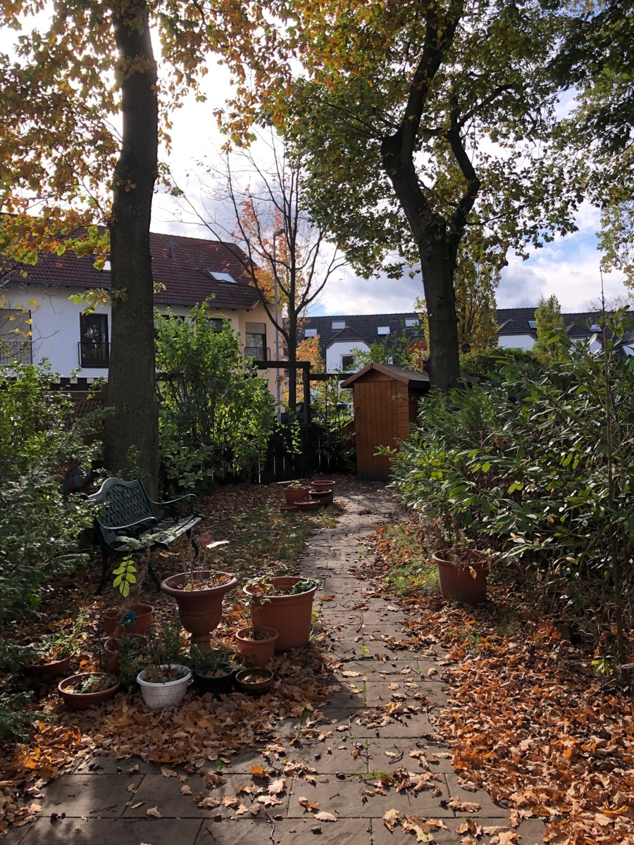 Gartenansicht Einfamilienhaus Sankt Augustin