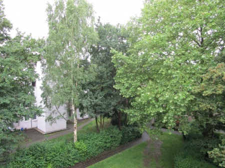 Garten Ansicht Etagenwohnung Sankt Augustin