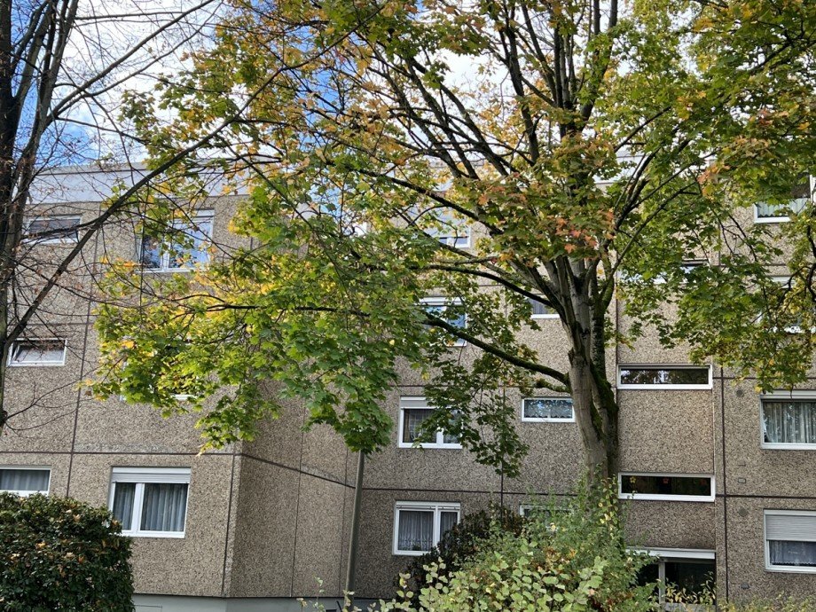 Aussenansicht Etagenwohnung Sankt Augustin