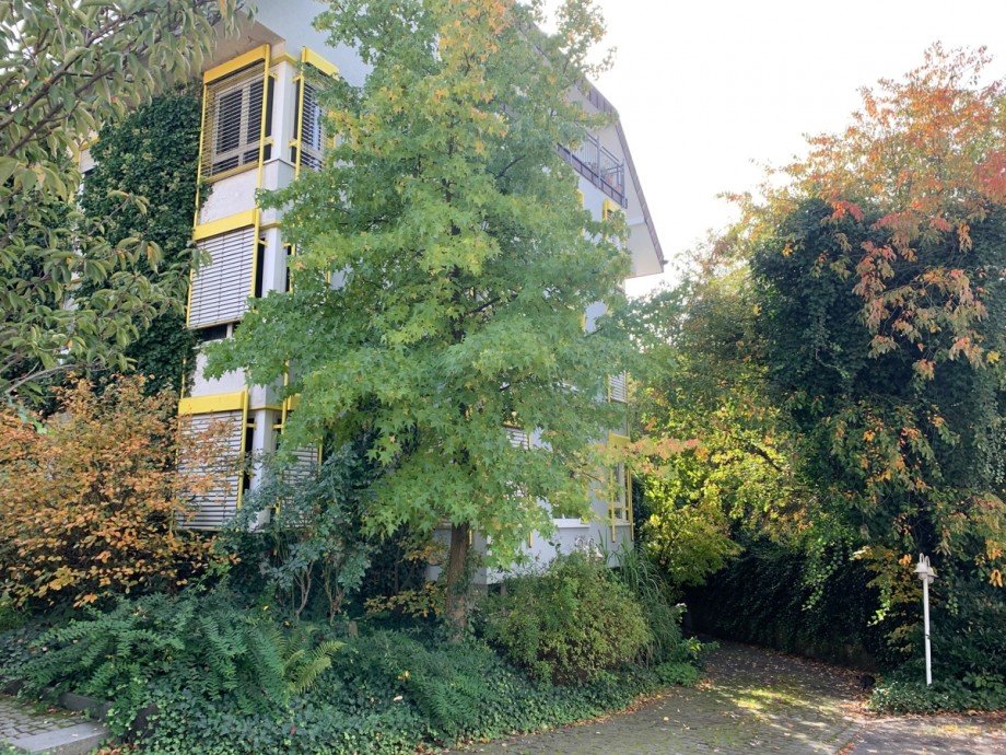 H�he des Nachbargeb�ude Mehrfamilienhaus Siegburg