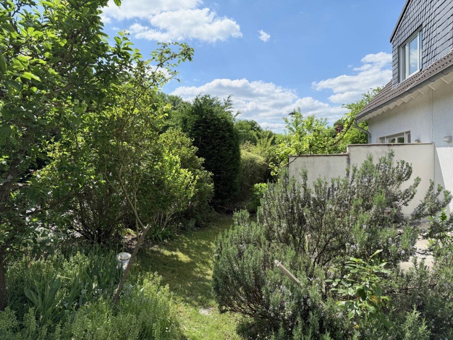 Ansicht Garten und Terrasse Doppelhaush�lfte Sankt Augustin