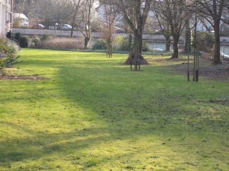 Gr�nfl�che Ansicht Etagenwohnung Sankt Augustin