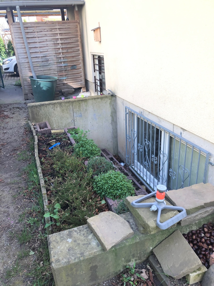 Seitenansicht - Belichtung Hobbyraum Einfamilienhaus Wesseling