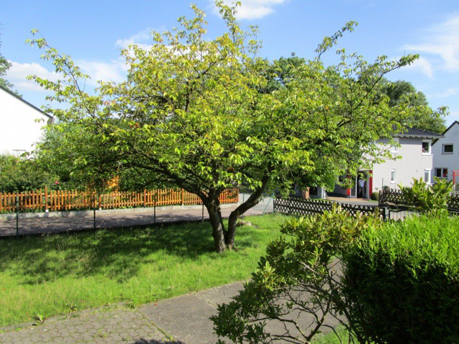 Blick von der Terrasse Doppelhaush�lfte Siegburg