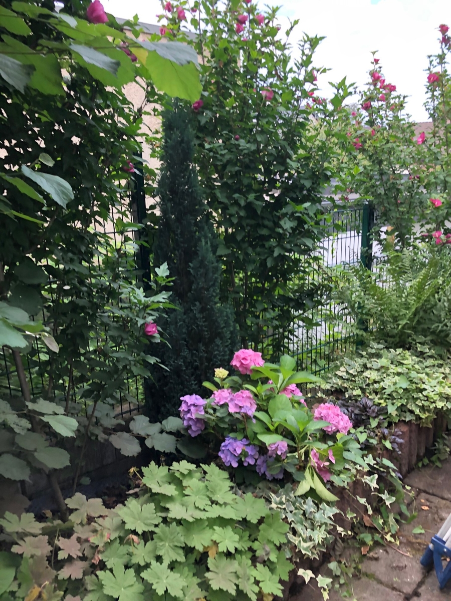 Garten Einfamilienhaus Hennef (Sieg)