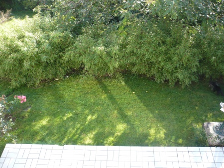 Gartenansicht 2 Haus Eitorf / M�hleip