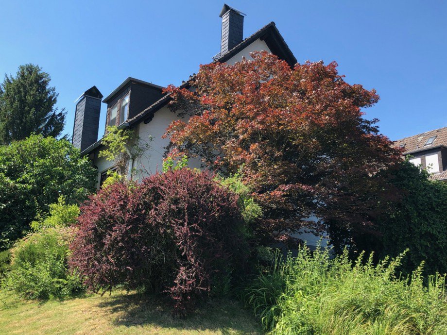 Hausansicht Einfamilienhaus Much / Marienfeld