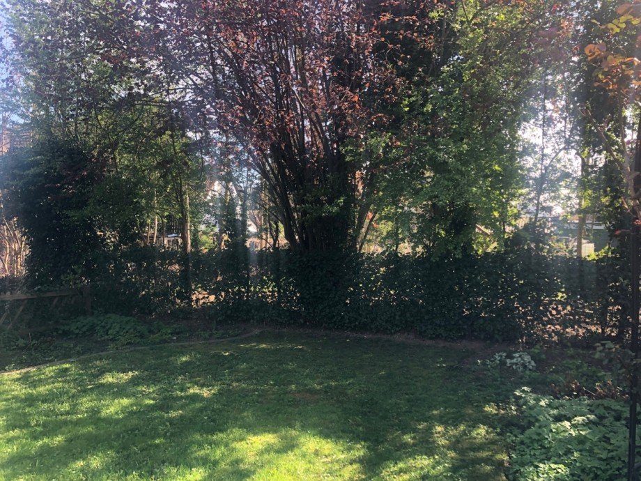 Garten Reiheneckhaus Sankt Augustin