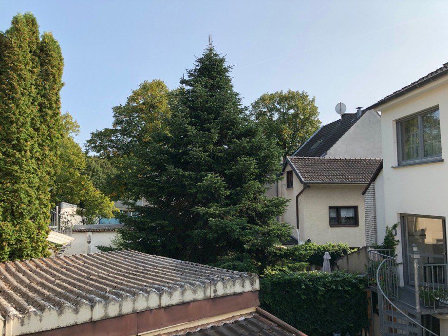Blick in die Nachbarschaft Einfamilienhaus Bonn / Endenich