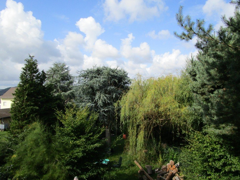 Blick in die Natur Etagenwohnung Bad Honnef
