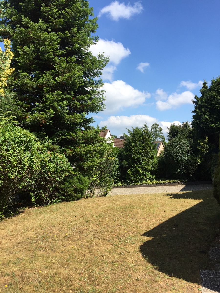 Vorgarten Einfamilienhaus Sankt Augustin