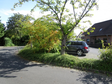 Umgebung Einfamilienhaus Sankt Augustin