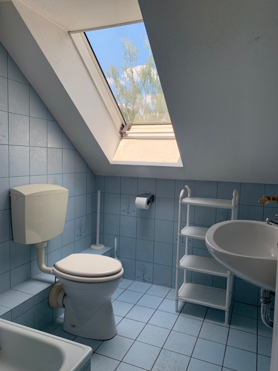 Badezimmer mit Dusche und WC Einfamilienhaus Sankt Augustin