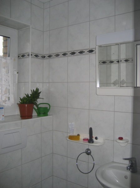 G�ste-WC Ansicht 1 Doppelhaush�lfte Buchholz (Westerwald) / Jungeroth