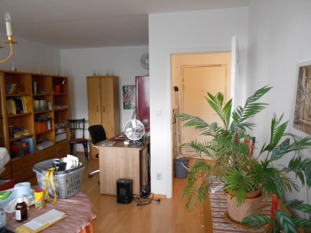 Wohn-Schlafzimmer Sankt Augustin Etagenwohnung SANKT AUGUSTIN - m�bliertes Appartment, ca. 41 m� Wfl., renoviert, Bad, sch�ner Balkon