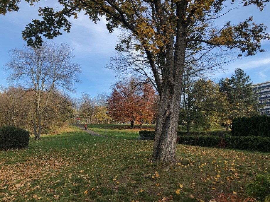 Umgebung - Park Etagenwohnung Sankt Augustin