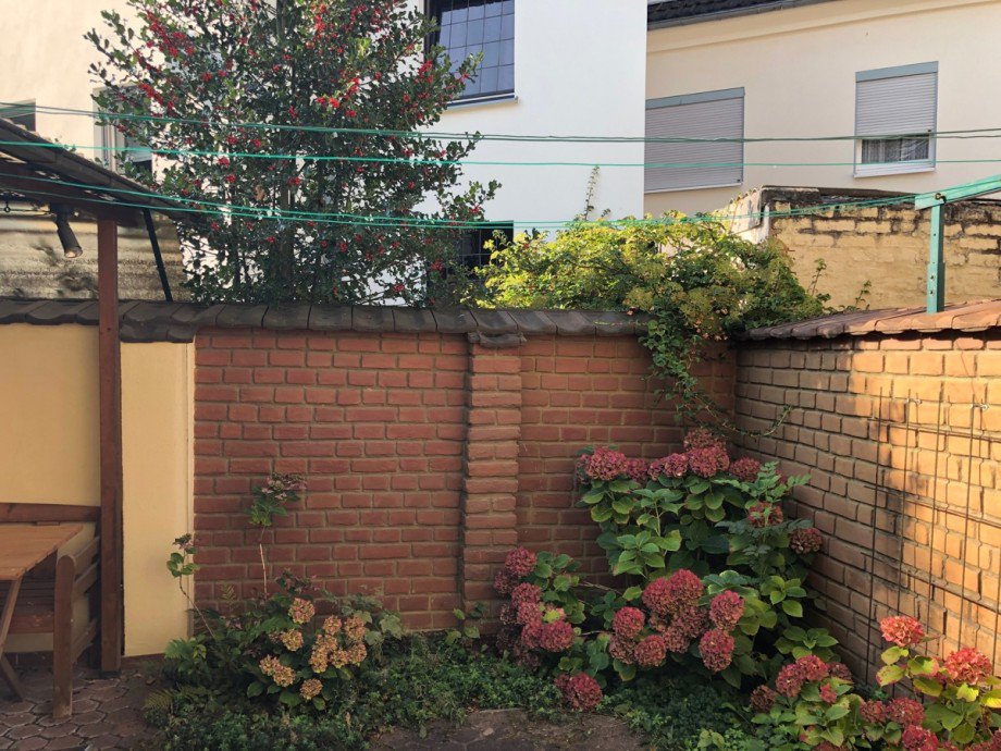 Innenhof / Garten Einfamilienhaus Bonn / Endenich