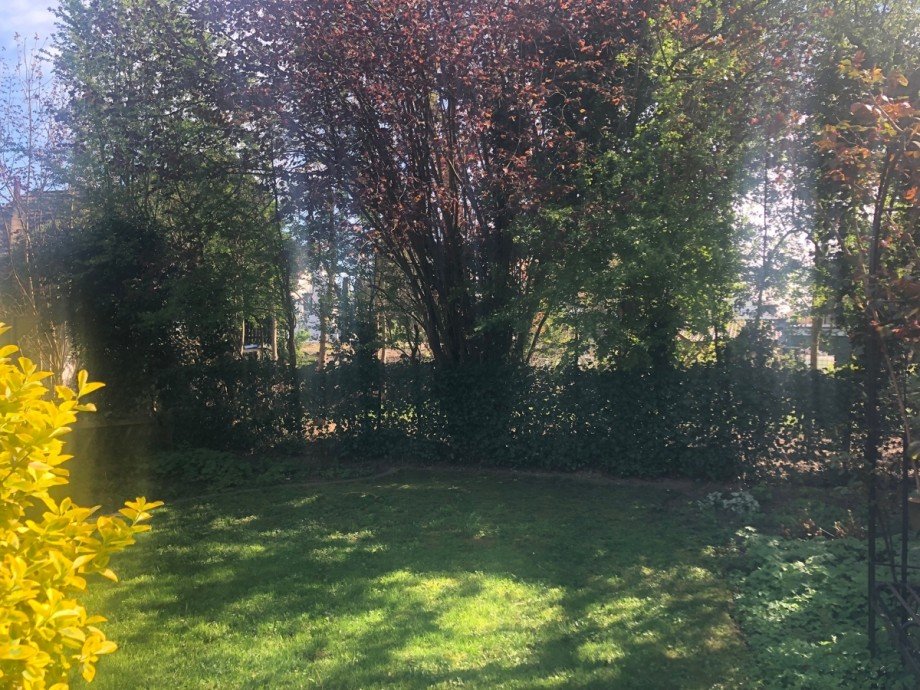 Gartenansicht Reiheneckhaus Sankt Augustin