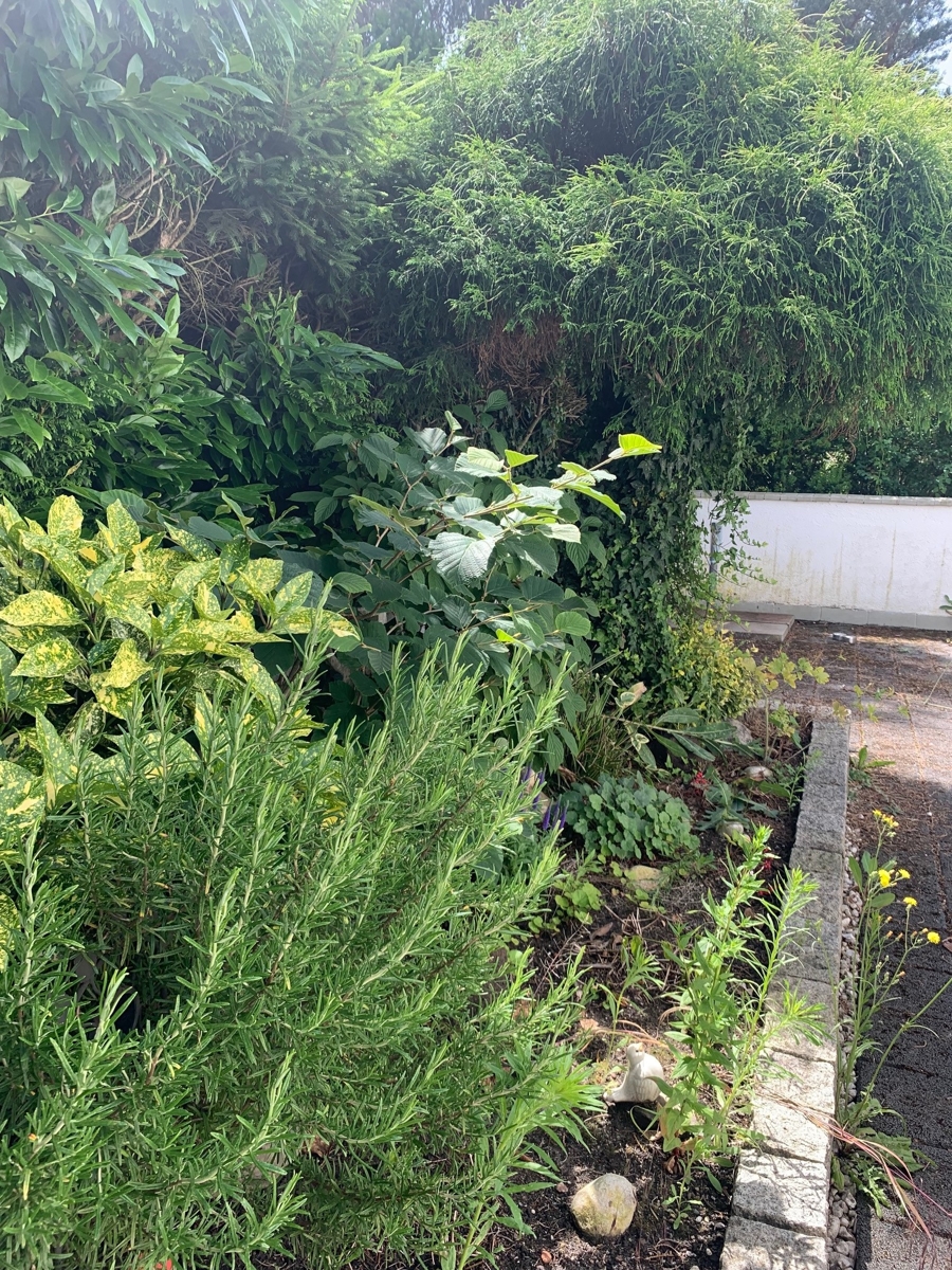 . Zweifamilienhaus Troisdorf