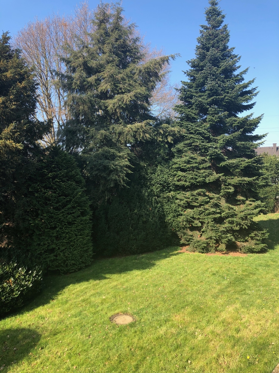 Garten Einfamilienhaus Sankt Augustin