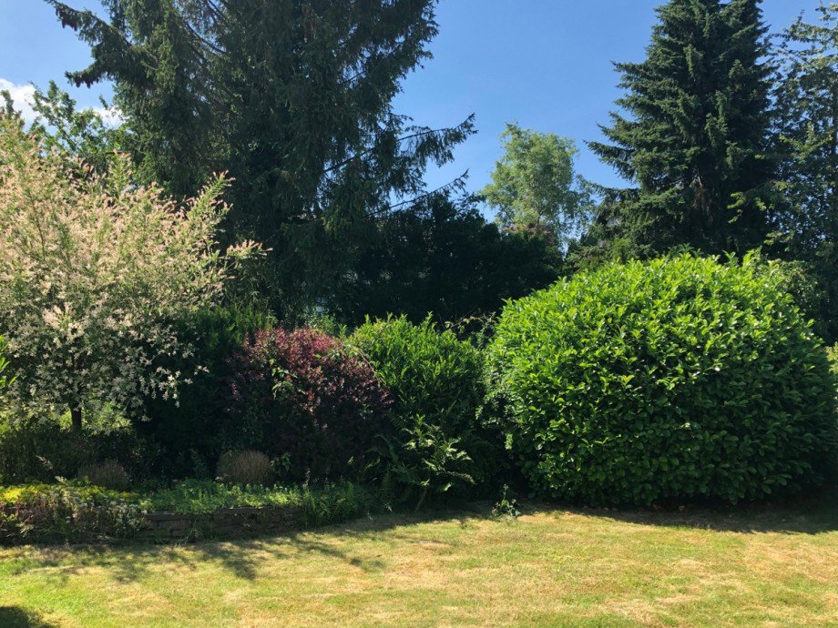 Gartenansicht Einfamilienhaus Much / Marienfeld