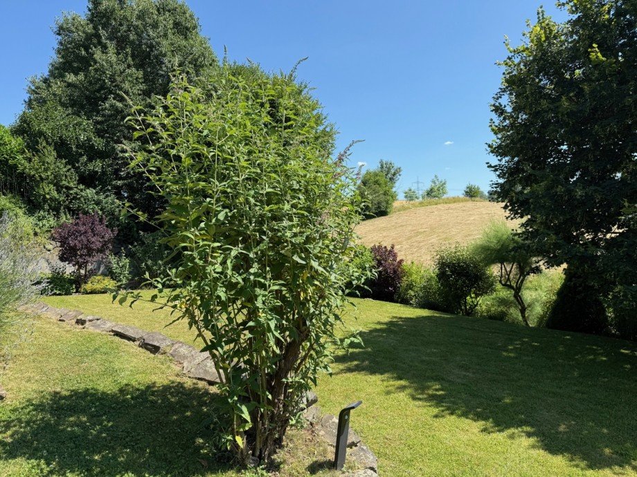 . Einfamilienhaus Hennef