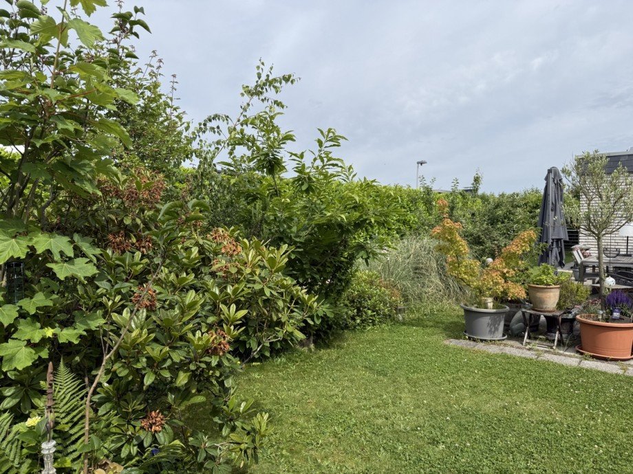 R�ckansicht mit Garten Bungalow Troisdorf / Eschmar