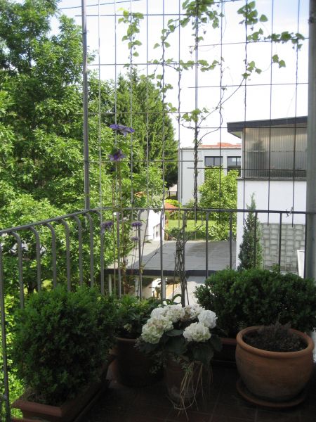 Balkonansicht von der K�che -hinten- Etagenwohnung St. Augustin