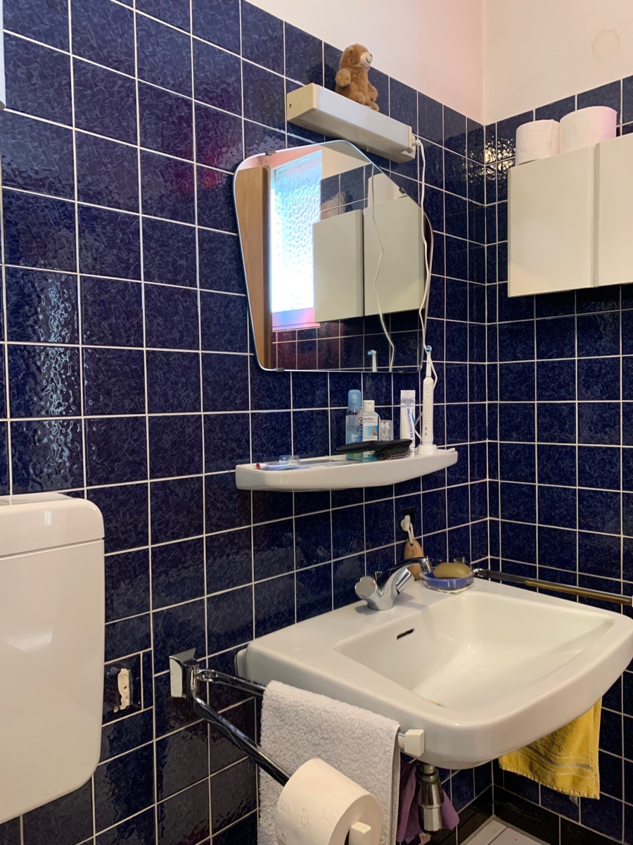 Ansicht Dusche - WC im EG Einfamilienhaus Sankt Augustin