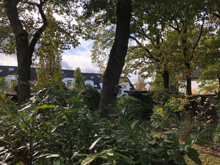 Gartenansicht Einfamilienhaus Sankt Augustin