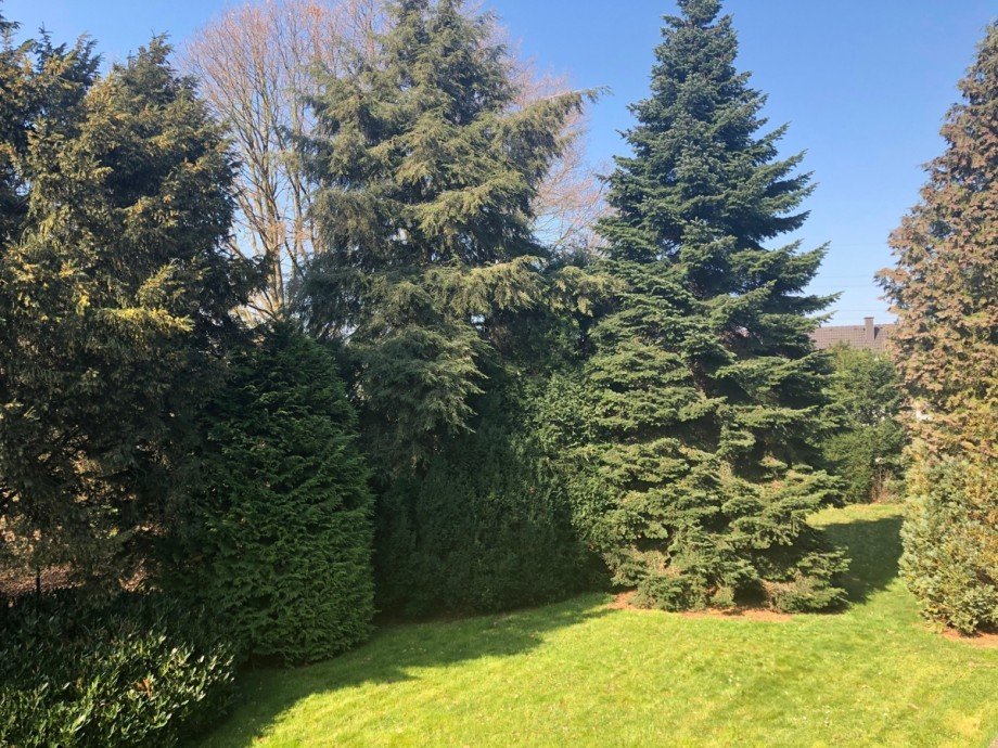 Garten Einfamilienhaus Sankt Augustin