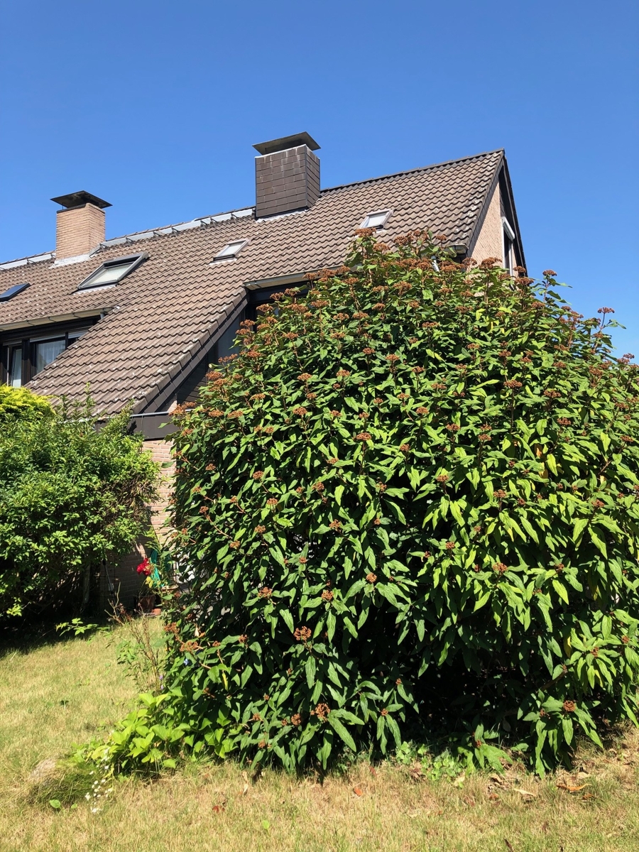 R�ckansicht mit Garten Reiheneckhaus Sankt Augustin