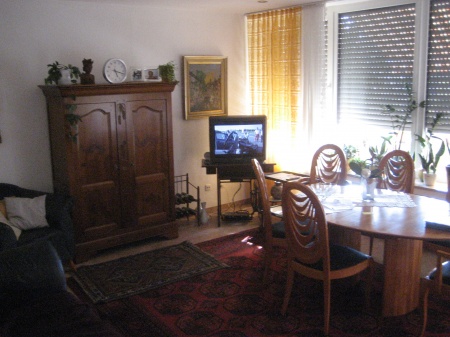 Wohnzimmer Ansicht 3 Etagenwohnung Sankt Augustin