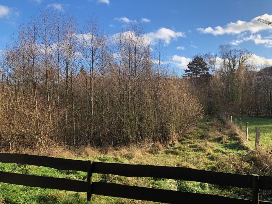 Blick ins Gr�ne Einfamilienhaus Wachtberg