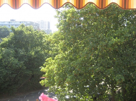 Blick vom Balkon 2 Etagenwohnung Sankt Augustin