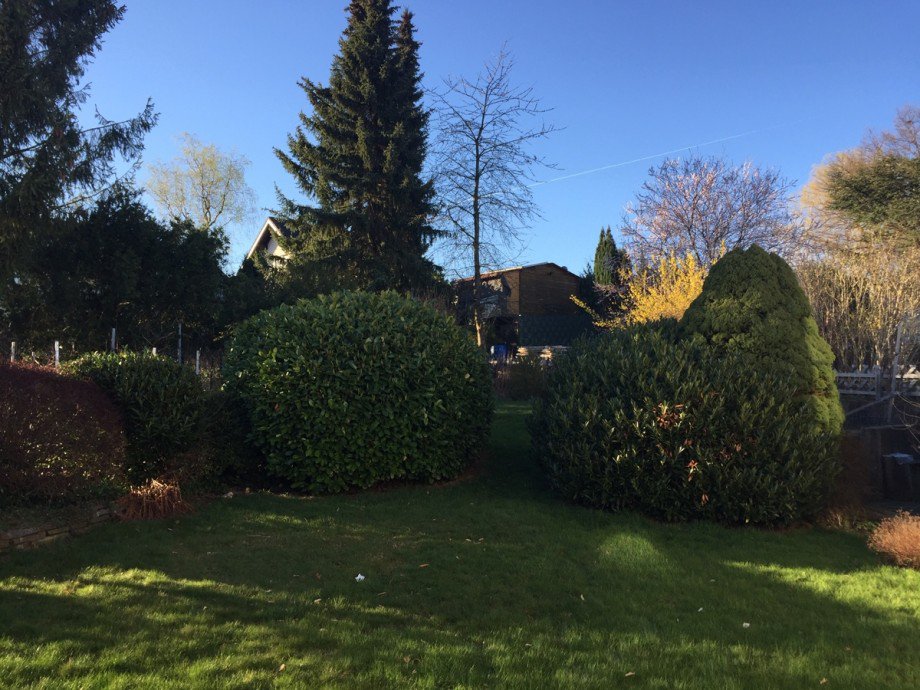 Blick in den Garten Einfamilienhaus Much / Marienfeld
