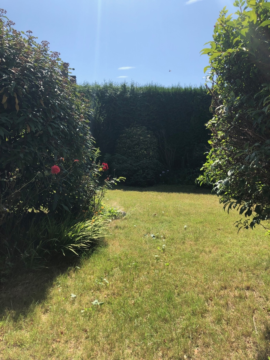 Garten Reiheneckhaus Sankt Augustin