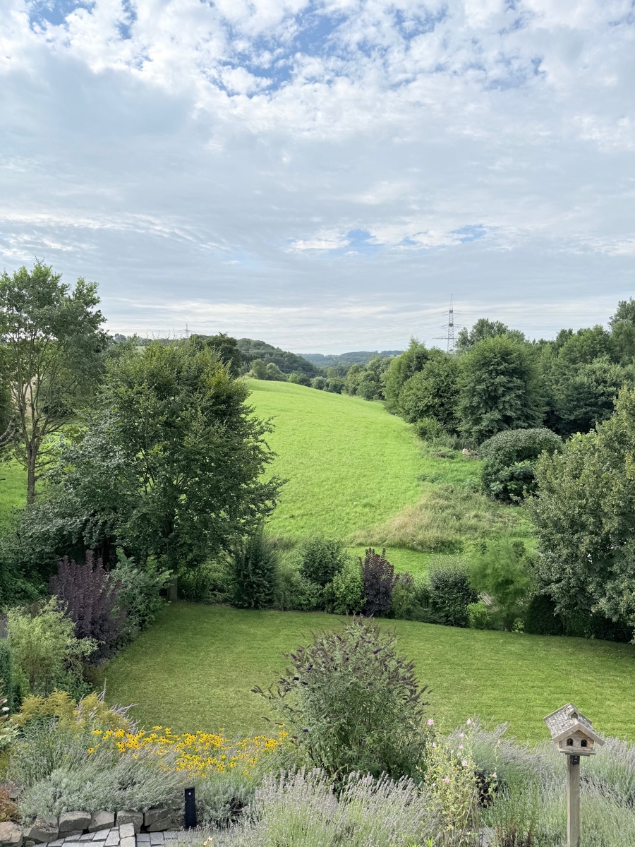 Blick ins Gr�ne Einfamilienhaus Hennef