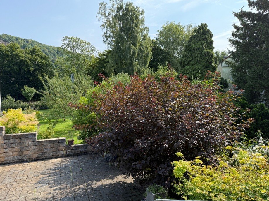 Ansicht Freisitz / Terrasse Einfamilienhaus Bonn