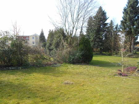 Blick in den Garten Bungalow Bonn / Holzlar