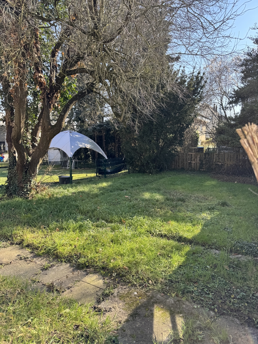 Blick in den Garten Etagenwohnung Bonn / Lannesdorf